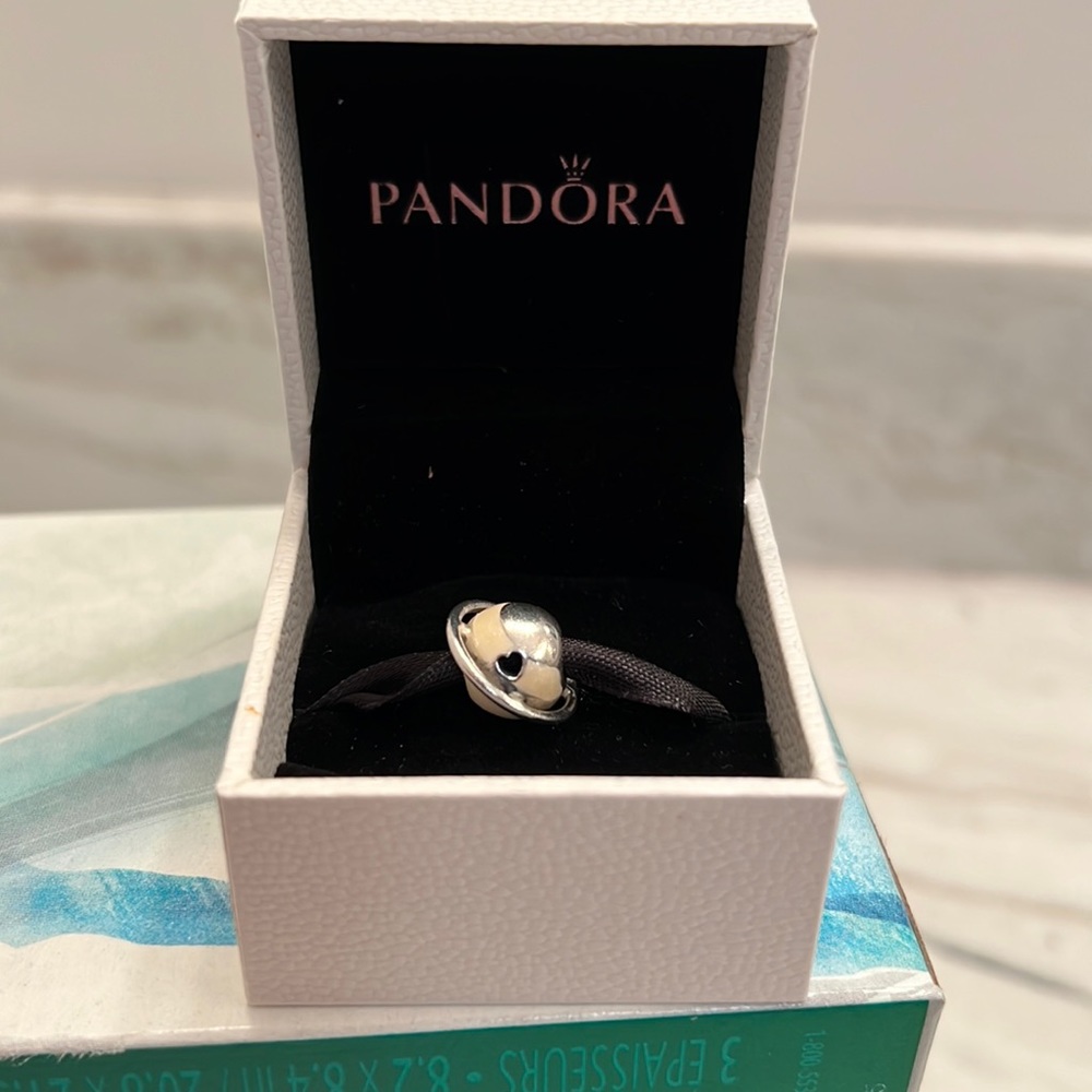 Planet Love Pandora charm
